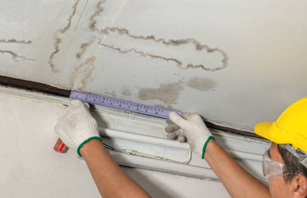 Reliable Burst Pipe Cleanup contractor in Falmouth, VA by Water Damage Irwin